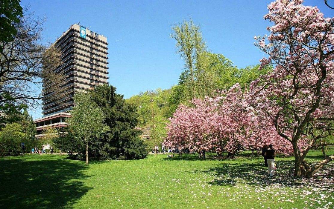 Hotel Thermal 4*